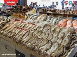 أسعار الأسماك بأسواق الجملة اليوم الخميس