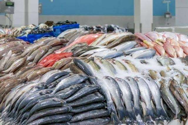 أسعار الأسماك بأسواق الجملة اليوم الأربعاء 9/11/2022