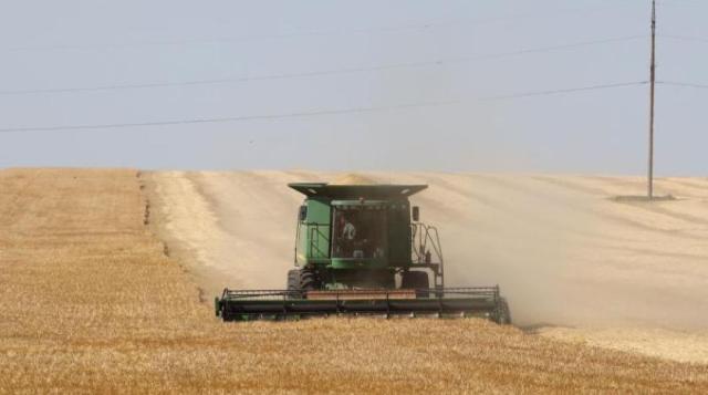 موسكو  تنفي التوصل إلى اتفاق حول تجديد مبادرة تصدير الحبوب