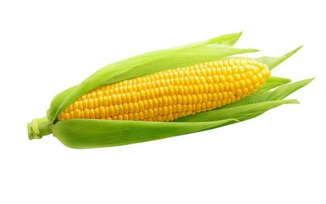 انخفاض طفيف بأسعار الذرة الصفراء بالأسواق اليوم الأربعاء 16 - 11- 2022