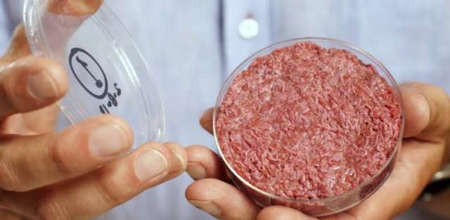 ثورة تقنية لإنتاج غذاء بشري مصنوع من خلايا حيوانية مستزرعة
