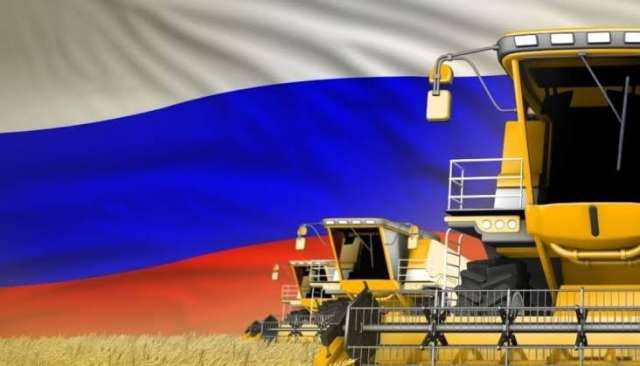 توقعات بزيادة صادرات القمح الروسية خلال الموسم الحالي