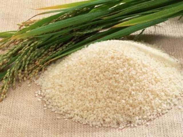أسعار الأرز اليوم الأربعاء 23-11-2022.. الابيض «رفيع الحبة» يخسر 500 جنيه