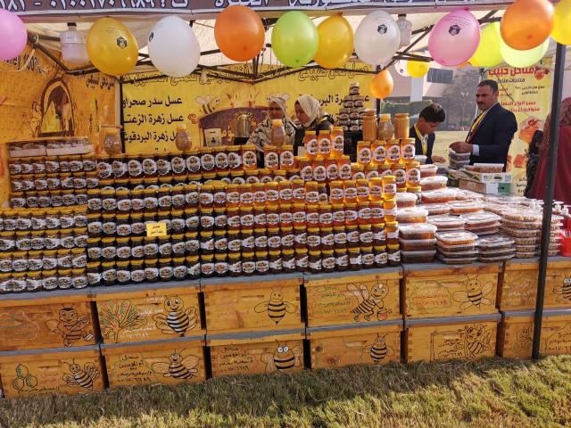 علاء عزوز يكشف عن مفاجآت للنحالين خلال افتتاح مهرجان العسل المصري