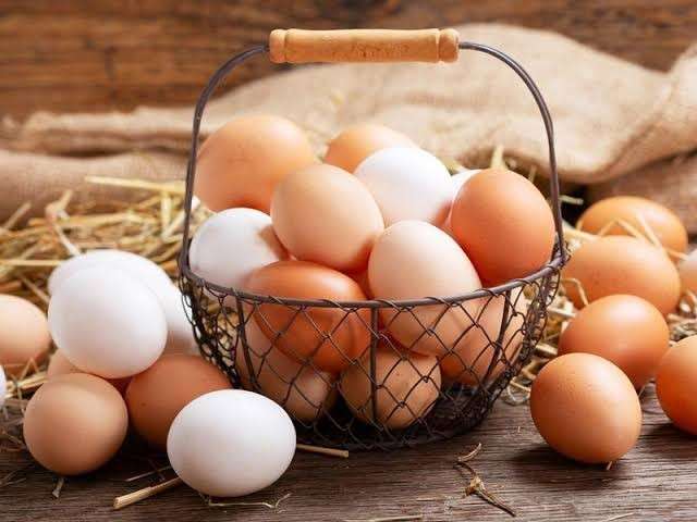 ثبات سعر طبق البيض بالبورصة اليوم السبت 26 – 11 - 2022