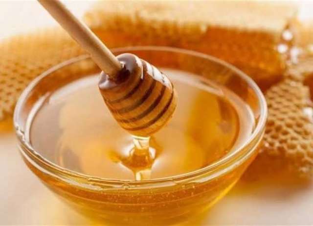 عضو اتحاد النحالين العرب يوضح أنواع الأعسال المتوفرة بمهرجان العسل وفوائدها