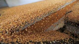 كينيا تتسلم شحنة ثانية من القمح الأوكراني