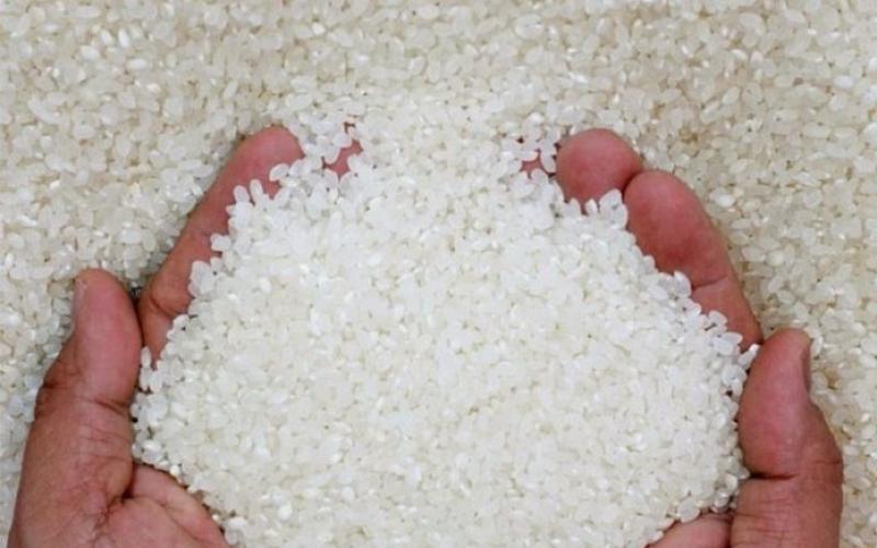 التموين : لدينا اكتفاء ذاتي من الأرز