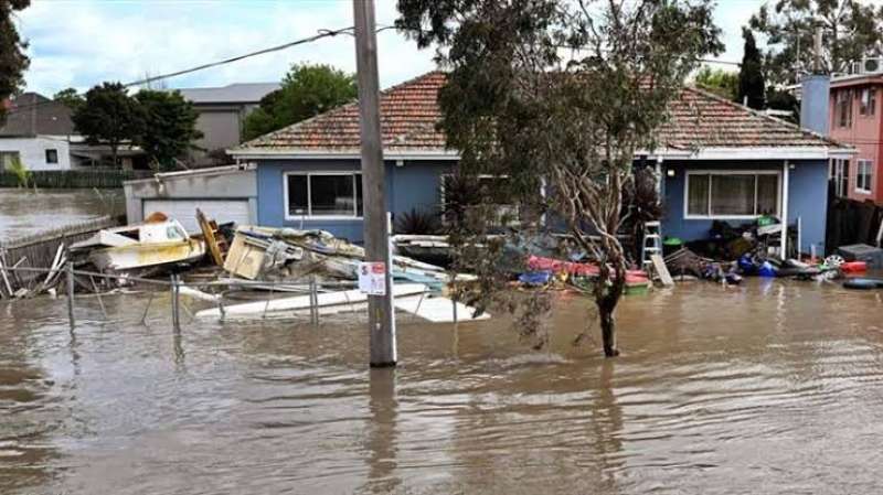 مزارعو القمح في شرق أستراليا يعانون من الفيضانات