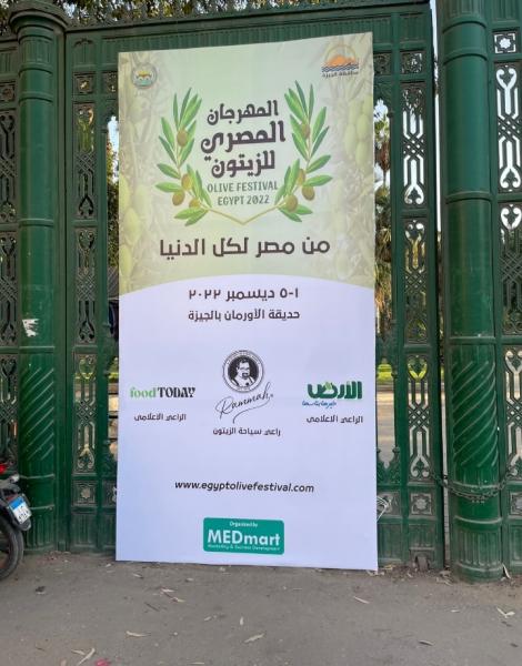 الخميس: الأورمان تحتضن أول مهرجان مصري للزيتون