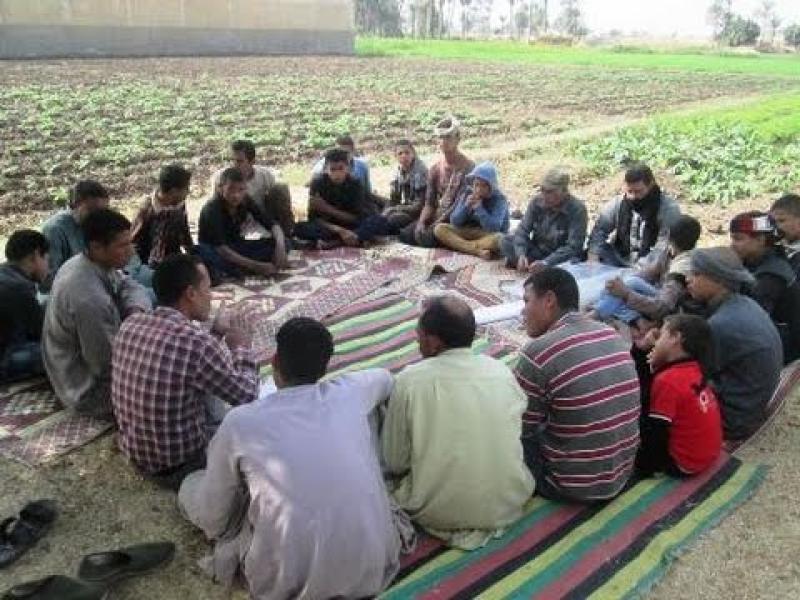 زراعة كفر الشيخ: تكثيف الزيارات الحقلية لتوعية المزارعين للنهوض بالقمح