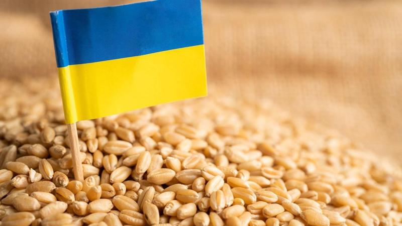 تجار الحبوب الأوكرانيين يطالبون بضمان إمدادات الطاقة للصوامع