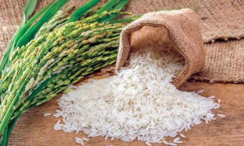 إندونسيا تستورد 200 ألف طن من الأرز بنهاية 2022