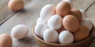 ارتفاع جديد لسعر طبق البيض بالبورصة اليوم الثلاثاء 20 – 12 – 2022