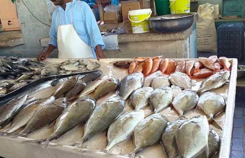 أسعار الأسماك بأسواق الجملة اليوم الثلاثاء
