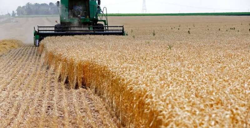 روسيا ترفع الرسوم الجمركية على صادرات القمح والشعير والذرة