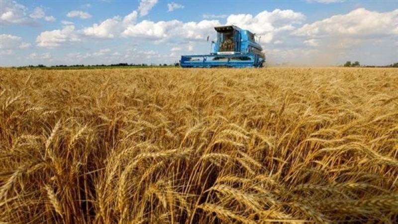 روسيا: تراجع أسعار تصدير القمح بدءًا من 18 يناير