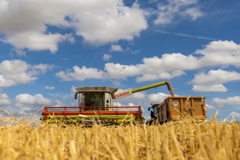 ”IGC” يرفع توقعات صادرات القمح الروسي بمقدار مليون طن