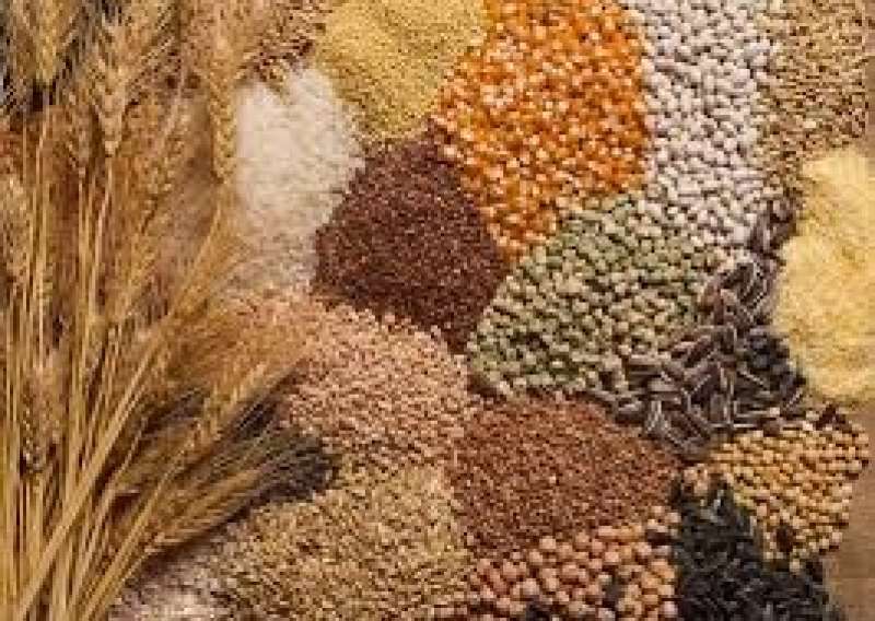 وزير الزراعة الأوكراني: إنشاء مراكز لوجستية لتخزين المواد الغذائية في غانا