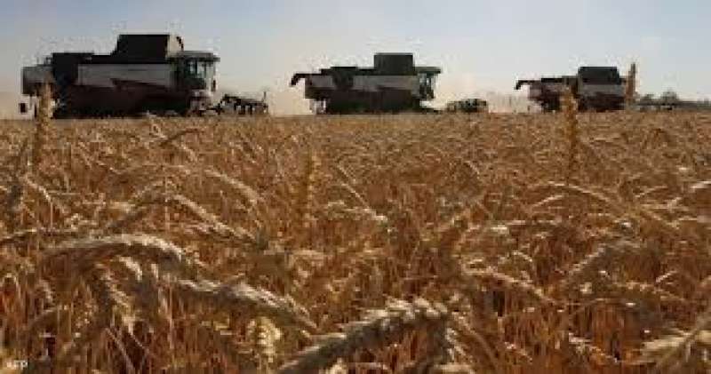 الزراعة الأوكرانية: ارسال 3 سفن إضافية لتوصيل القمح الأوكراني إلى البلدان المحتاجة