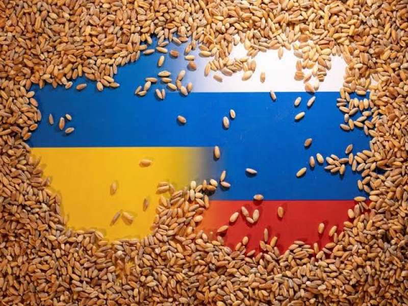 تراجع صادرات الحبوب الزراعية الأوكرانية بنسبة 30% لموسم 2022-2023