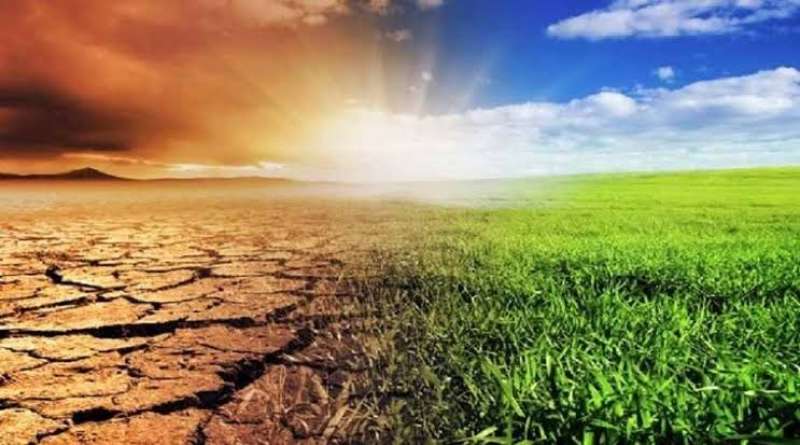 الزراعة المصرية وتغيرات المناخ 