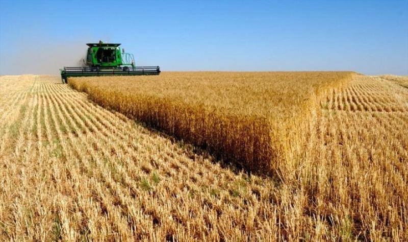 الزراعة الأوكرانية فى خطر بسبب نقص الأسمدة