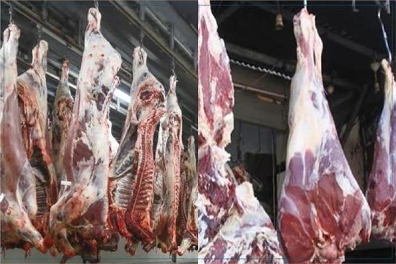الأسباب الحقيقية لارتفاع أسعار اللحوم الحمراء