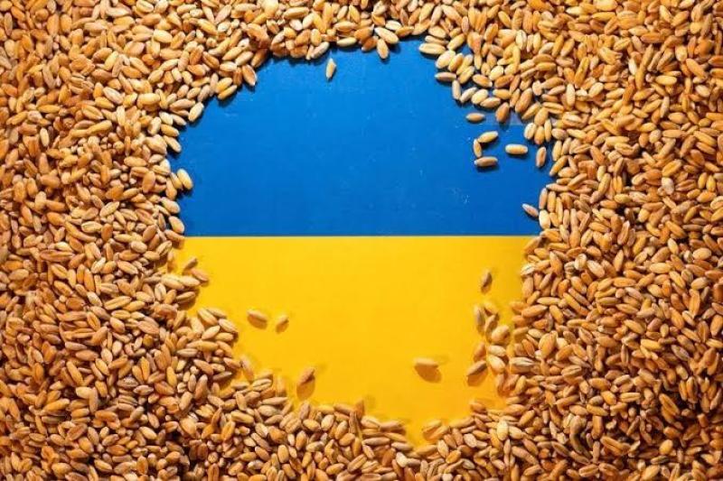 34 مليار دولار خسائر القطاع الزراعي بأوكرانيا بعد عام من الحرب