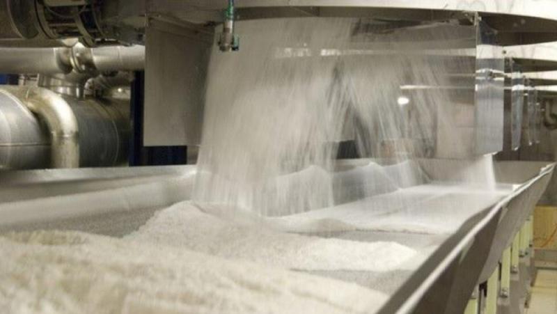 الهند تخطط لتصدير مليون طن من السكر