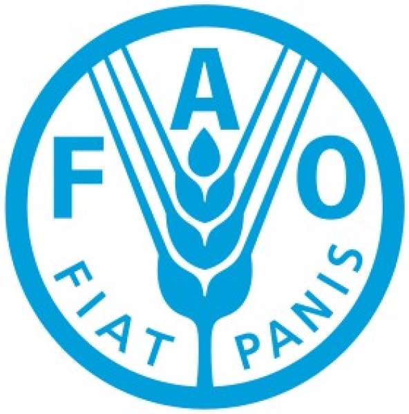«الفاو» تتوقع إنخفاض إنتاج الحبوب العالمي لموسم 2023/2022