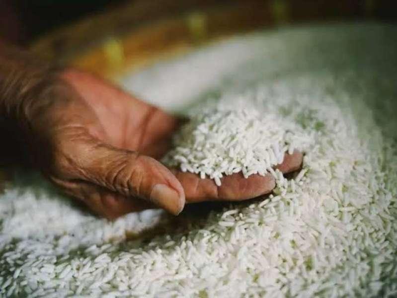 ارتفاع صادرات فيتنام من الأرز بنسبة 48.8%