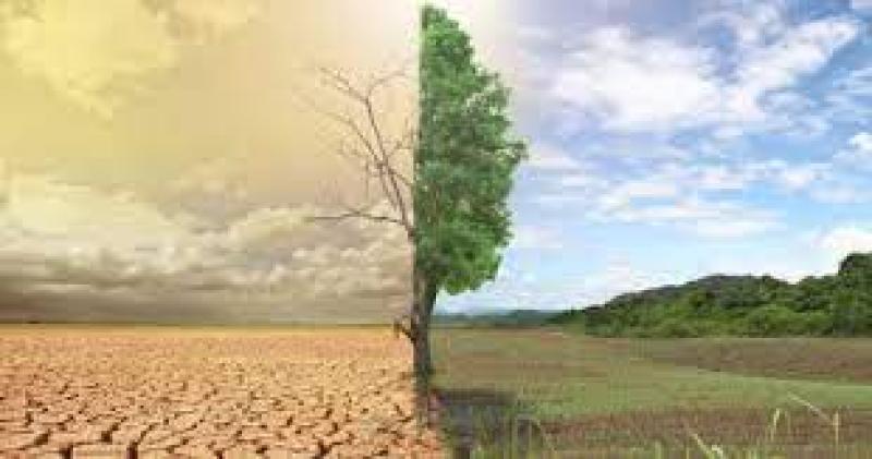 «الزراعة» توضح توصيات مهمة لحماية المحاصيل ضد تغيرات المناخ