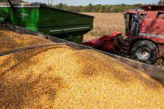 بورصة الحبوب الأرجنتينية: تراجع كبير في إنتاج محصول الصويا والذرة