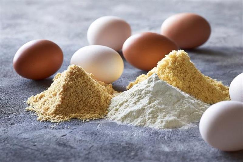 الحكومة تكشف حقيقة طرح منتجات «البيض البودرة» فى الأسواق