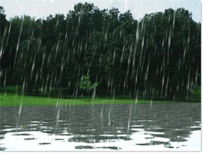 مركز تغير المناخ يحذر من أمطار تصل لحد السيول في تلك المناطق