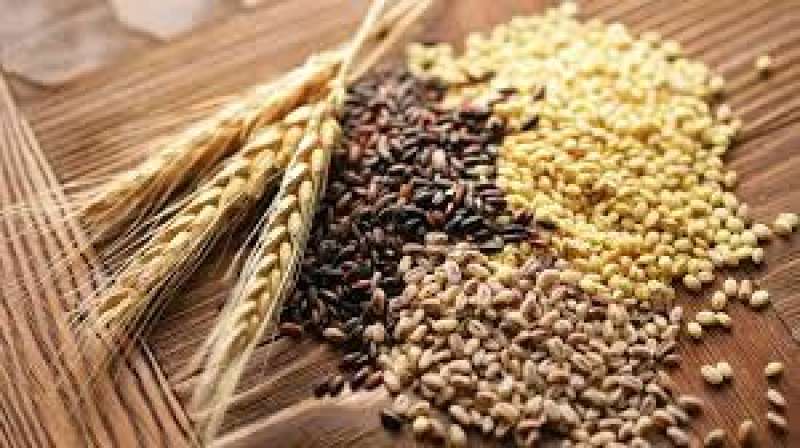 ارتفاع صادرات الحبوب الأوكرانية لتسجل 34.7 مليون طن