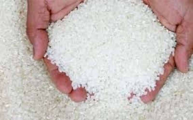 تعرف على أصناف الأرز السوبر مرتفع الإنتاجية