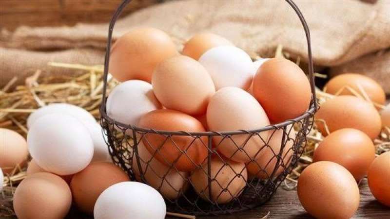 ثبات سعر طبق بيض المائدة بالبورصة اليوم الثلاثاء 21 - 3 - 2023