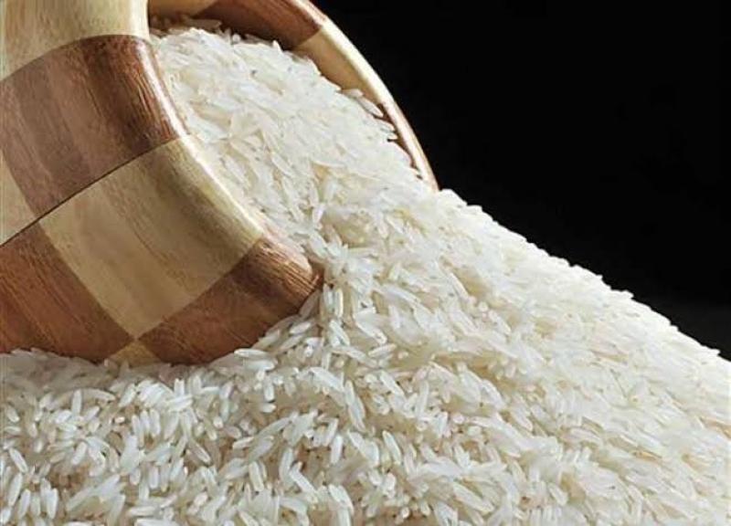 تراجع انتاج الأرز في إيطاليا بسبب الجفاف