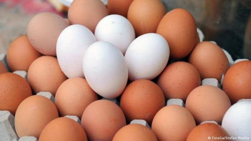 ارتفاع سعر طبق بيض المائدة بالبورصة اليوم الإثنين 27 - 3 - 2023