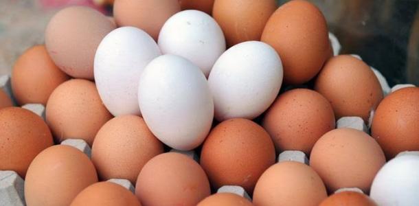 ثبات سعر طبق بيض المائدة بالبورصة اليوم الثلاثاء 28- 3 - 2023