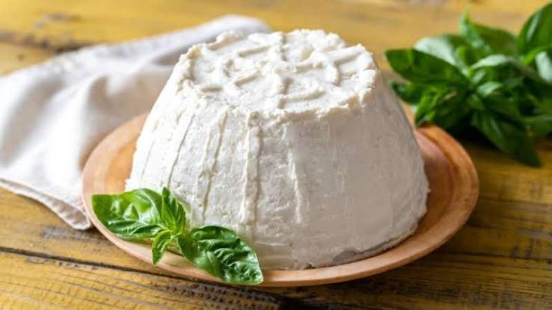 الجبن الريكوتا الإيطالي