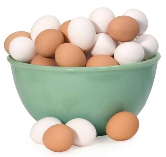 «بيض المائدة» تحذر: سنواجه ارتفاعًا غير مسبوق فى الأسعار.. وخسائر القطاع ضخمة