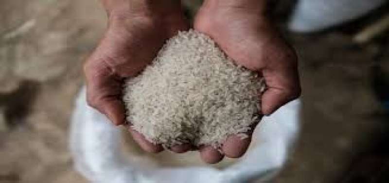 قفزة كبيرة فى صادرات الأرز الفيتنامى بـ80% خلال مارس