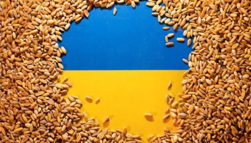 توقعات بتراجع صادرات الحبوب الأوكرانية بنسبة 10% خلال الموسم الجاري