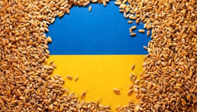 صادرات الحبوب الأوكرانية تسجل 42.5 مليون طن بالموسم الحالي