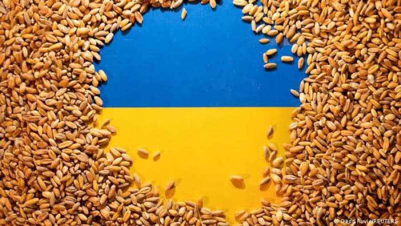 جمعية الحبوب الأوكرانية تتوقع انخفاض صادرات الذرة 30% بالموسم المقبل