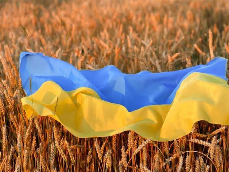 الحبوب الأوكرانية 