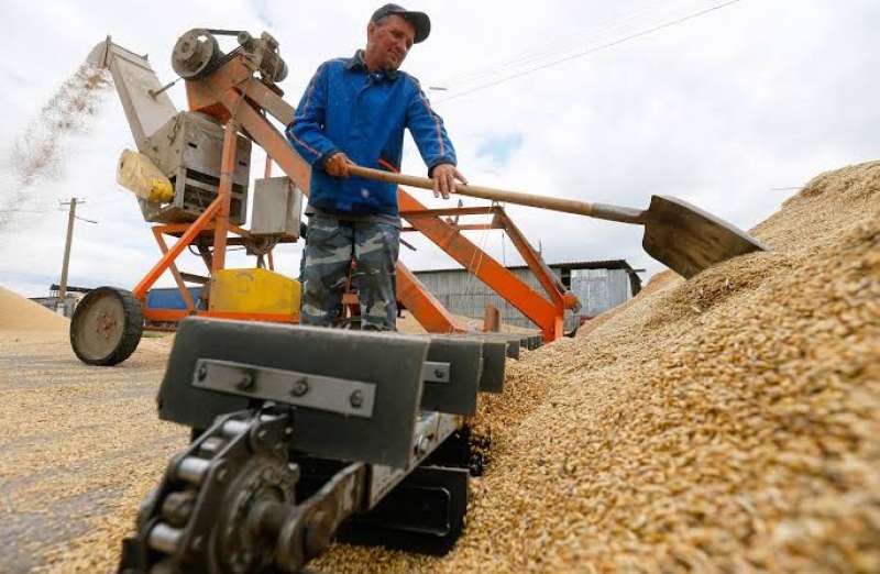 بداية من يونيو المقبل.. روسيا ترفع الرسوم الجمركية لتصدير الحبوب الغذائية